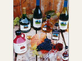 Hartzview Vineyard - Tourism Gold Coast 0
