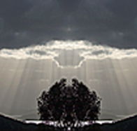 aart. Gallery of Fine Art - Tourism Gold Coast