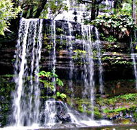 Mt Field National Park - Tourism Gold Coast