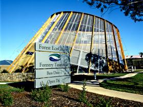 Forester TAS Tourism Gold Coast