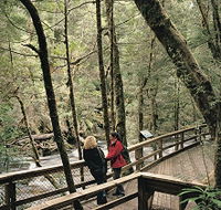 Franklin River Nature Trail - Tourism Gold Coast