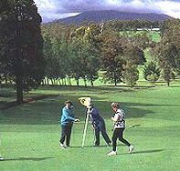 Deloraine Golf Course - Tourism Gold Coast