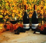 Craigow Vineyard - Tourism Gold Coast