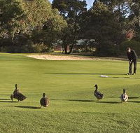 Royal Hobart Golf Club - Tourism Gold Coast