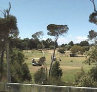Greens Beach Golf Course - Tourism Gold Coast