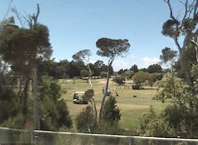 Greens Beach Golf Course - Tourism Gold Coast 0