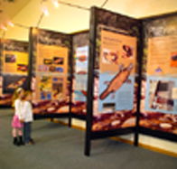 Platypus Experience - Tourism Gold Coast