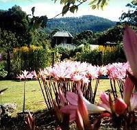 Blueberry Cottage Open Gardens - Tourism Gold Coast