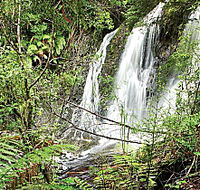 Hogarth Falls - Tourism Gold Coast