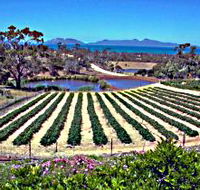 Kate's Berry Farm - Tourism Gold Coast