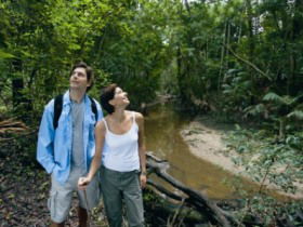 Mooloolah River National Park, Jowarra Section - Tourism Gold Coast 0