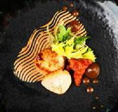 Sage - Tourism Gold Coast