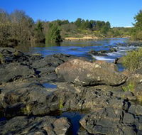 Pine Island to Point Hut Reserve - Tourism Gold Coast