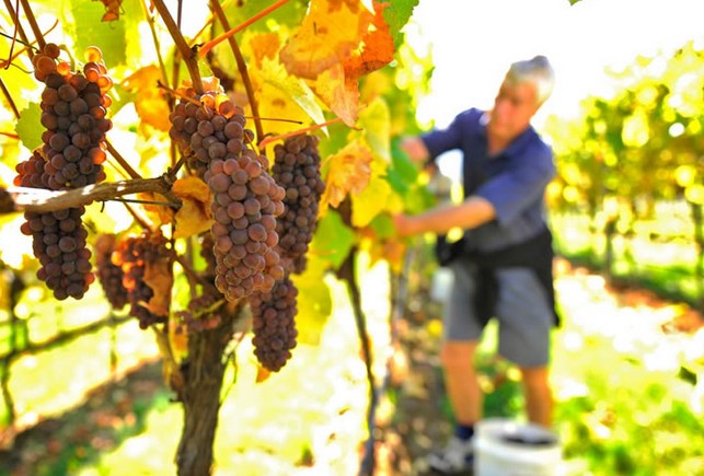 Windermere TAS Gold Coast