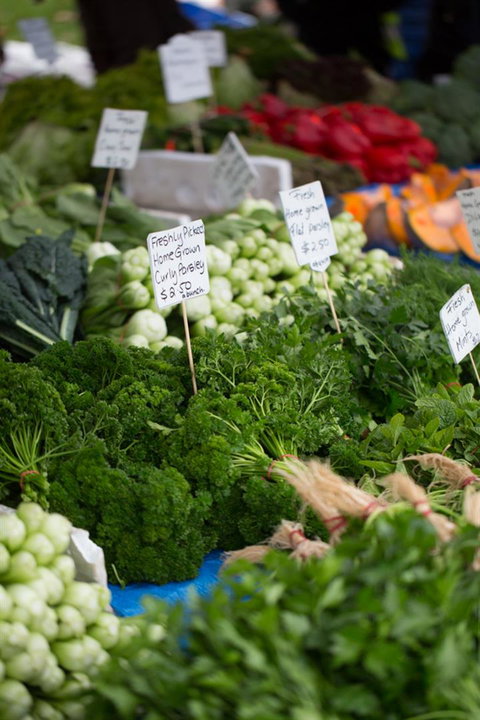 Salamanca Market - Tourism Gold Coast 5