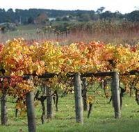 Apsley Gorge Vineyard - Tourism Gold Coast