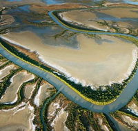 The Wilderness Gallery - Tourism Gold Coast