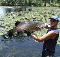 Barra Feeding - Tourism Gold Coast