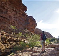 Giles Track - Tourism Gold Coast