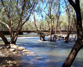 Virginia NT Tourism Gold Coast