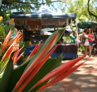 Nightcliff Markets - Tourism Gold Coast
