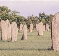 Magnetic Termite Mounds - Tourism Gold Coast