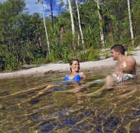 Tjaynera/Sandy Creek Falls - Tourism Gold Coast