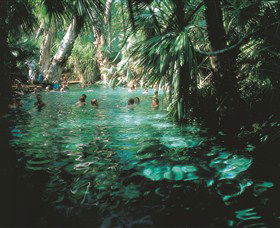 Mataranka Thermal Pool - Tourism Gold Coast 0