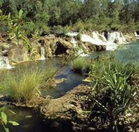 Flora River Nature Park - Tourism Gold Coast