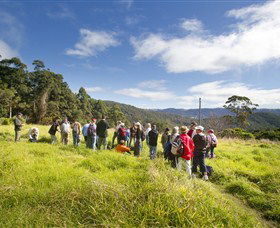 Springbrook QLD Tourism Gold Coast