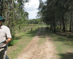 Coombabah QLD Tourism Gold Coast
