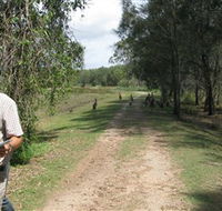 Coombabah Lakes Conservation Area - Tourism Gold Coast