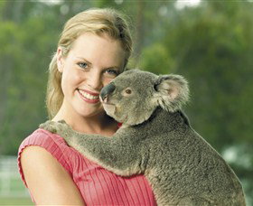 Paradise Country Aussie Farm Tour - Tourism Gold Coast 0