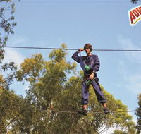Adventure Parc at Currumbin Wildlife Sanctuary - Tourism Gold Coast