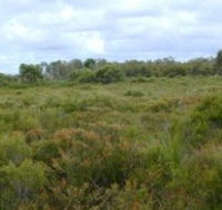 Pine Ridge Conservation Park - Tourism Gold Coast