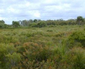 Pine Ridge Conservation Park - Tourism Gold Coast 0