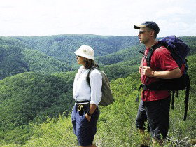 Sunshine Coast Hinterland Great! Walk - Tourism Gold Coast 0