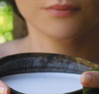 Ikatan Day Spa - Tourism Gold Coast