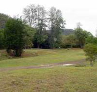 Brooyar State Forest - Gold Coast