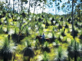 Kilkivan QLD Tourism Gold Coast