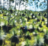 Bicentennial National Trail - Section 5 - Tourism Gold Coast