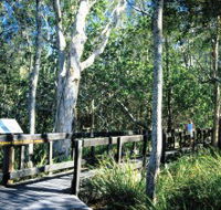 Kinaba Track - Gold Coast