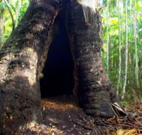 Tewantin National Park - Gold Coast