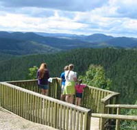 Kenilworth Forest Reserve - Gold Coast