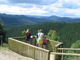 Kenilworth Forest Reserve - Gold Coast 0