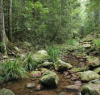 Amamoor State Forest - Gold Coast