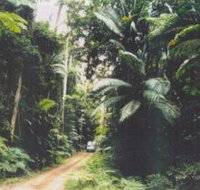 Conondale Great Walk - Gold Coast