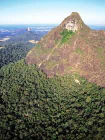 Mount Beerwah Track - Tourism Gold Coast 0