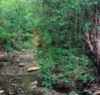 Mudlo National Park - Tourism Gold Coast