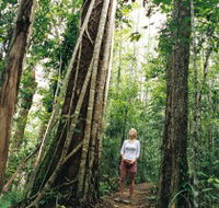 Wet Tropics - Tourism Gold Coast
